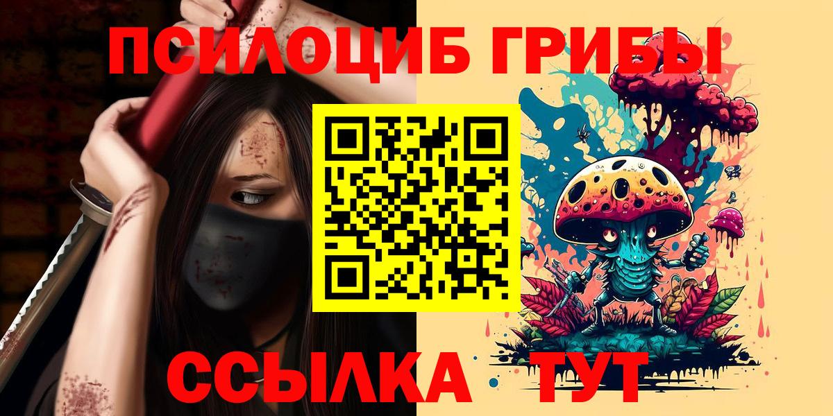 Галлюциногенные грибы Psilocybe Набережные Челны